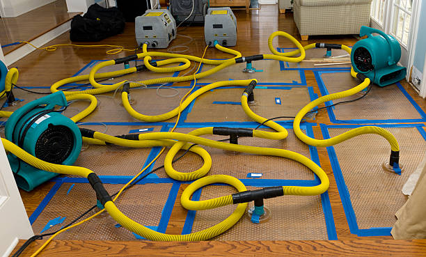 Professional Burst Pipe Water Damage technician working in Merrill, MI